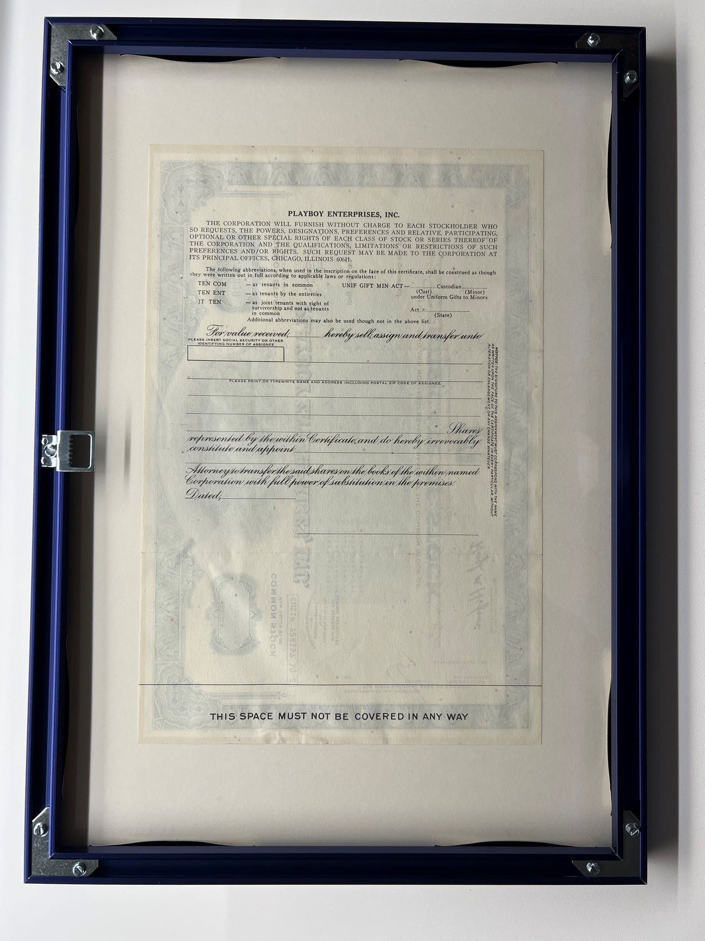 "Playboy Enterprises blue"