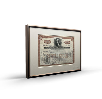 New York Railroad Company Brown