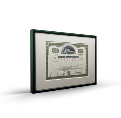 Playboy Enterprises Green